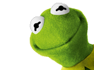 1486508459-kermit-teteincruste.png