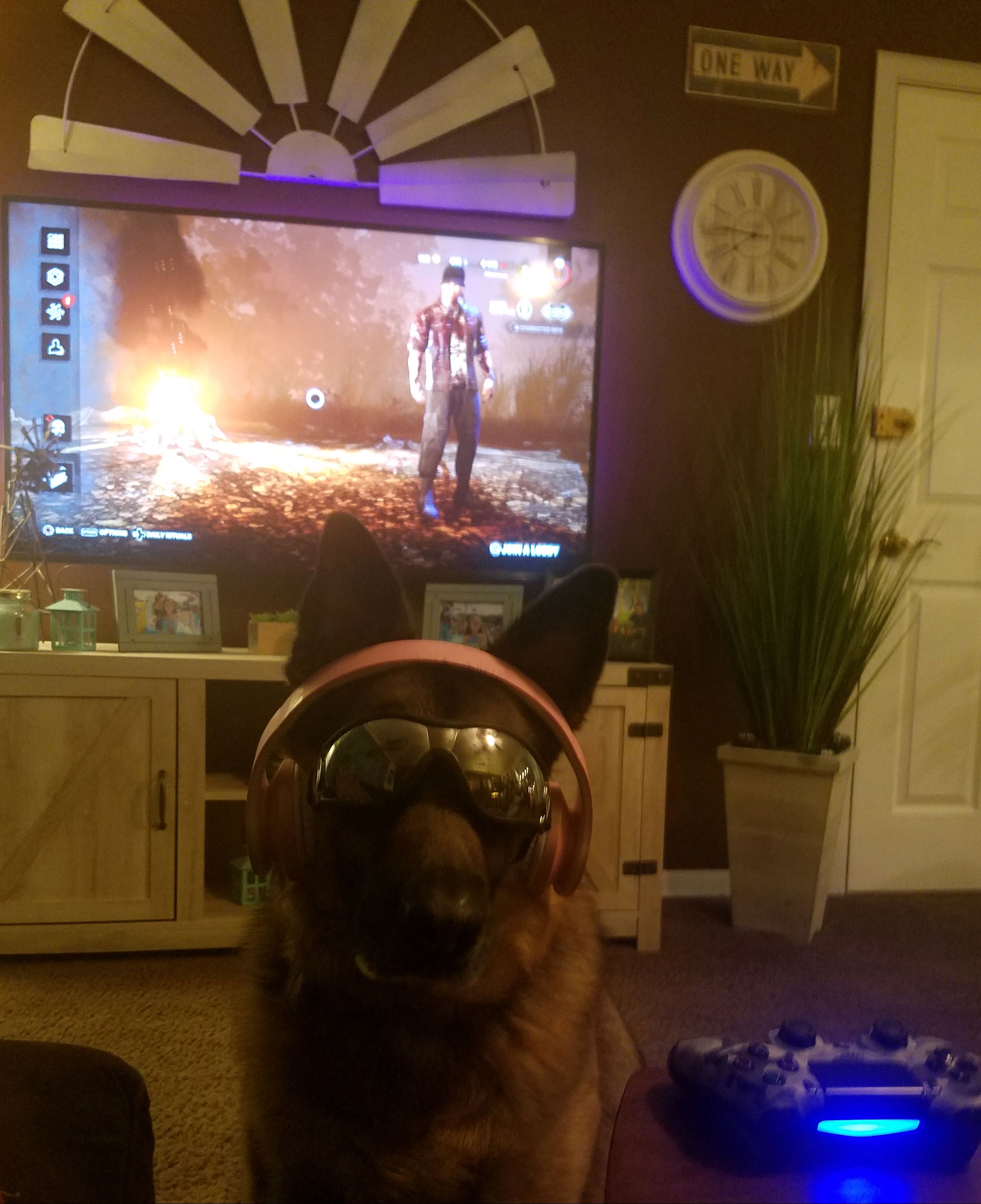 PS_Messages_20190316_170718.jpg