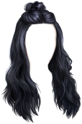 item_fem_model_hair_f_black_long_bun-v01.png