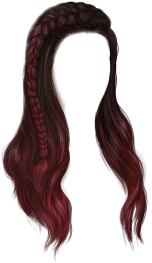 item_fem_professional_hair_f_red_long_braid-v01.png