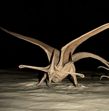 Bioraptor.jpg