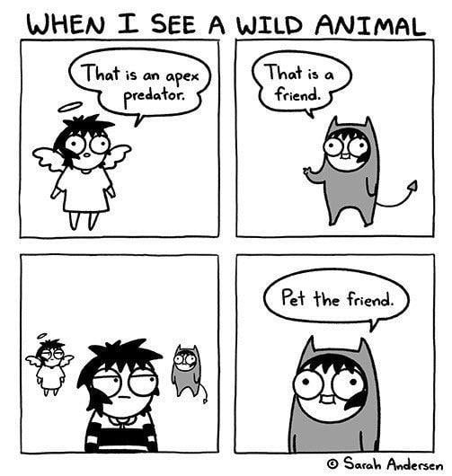 pet.jpg