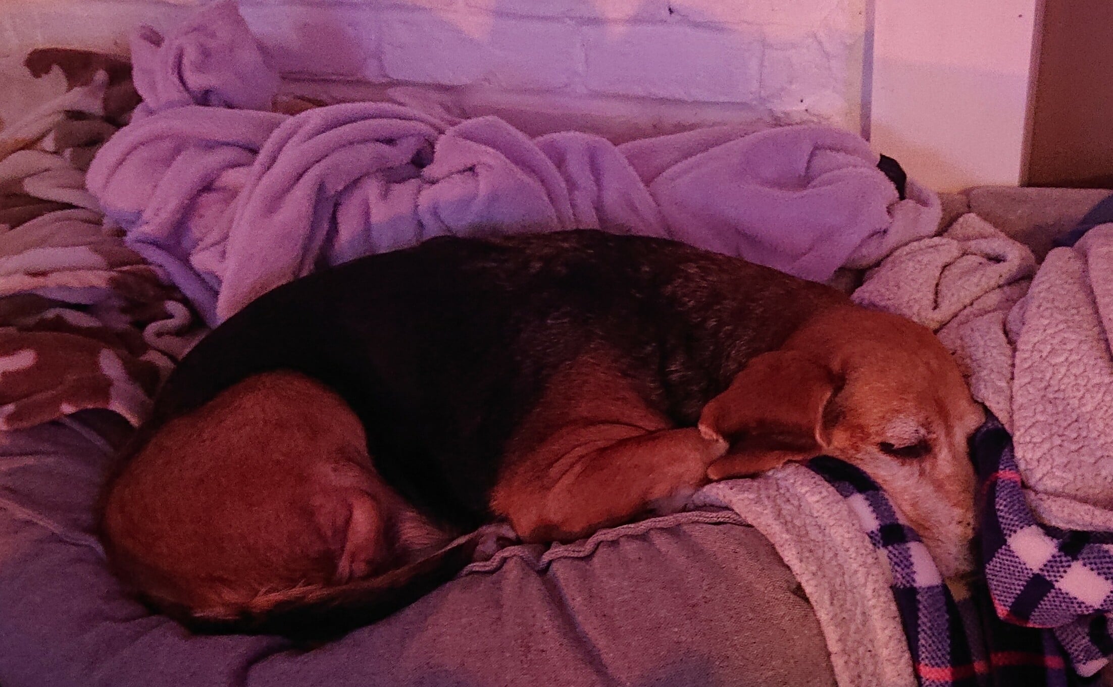 _20221216_131825.JPG