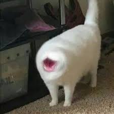 yo.jpg
