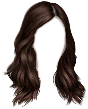 item_fem_professional_hair_f_brown_medium_waves-v01.png