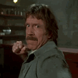 chuck-norris-punch-6429_preview.gif