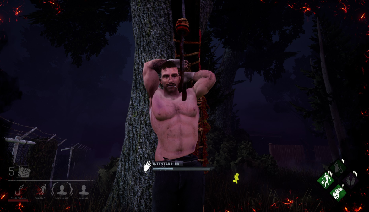 d.PNG
