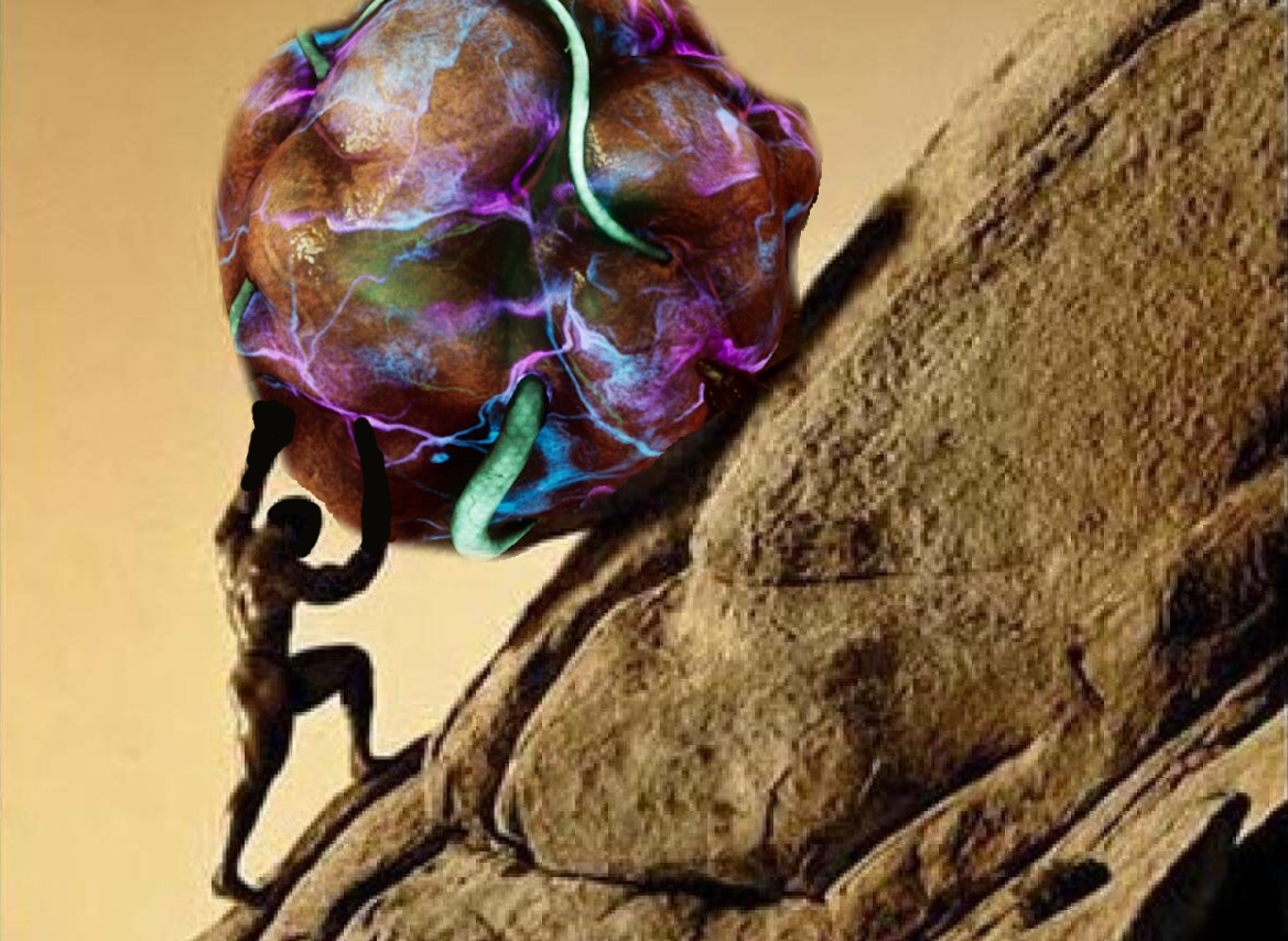 Untitled.png