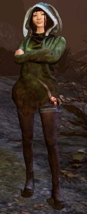 FengDBD.png