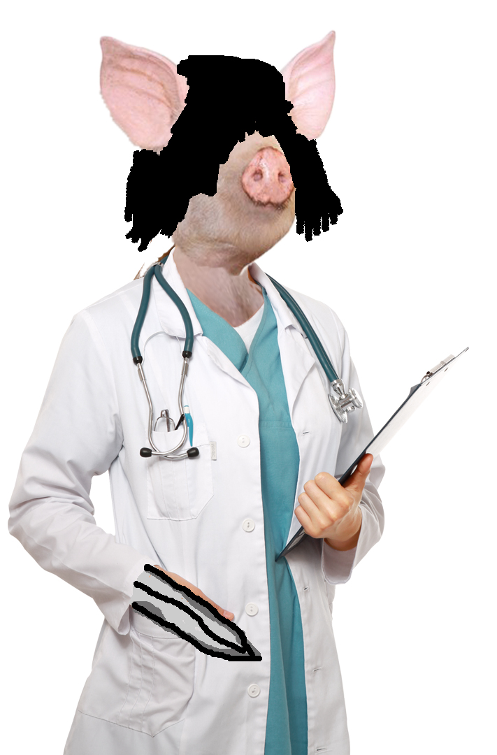 Piggo.jpg