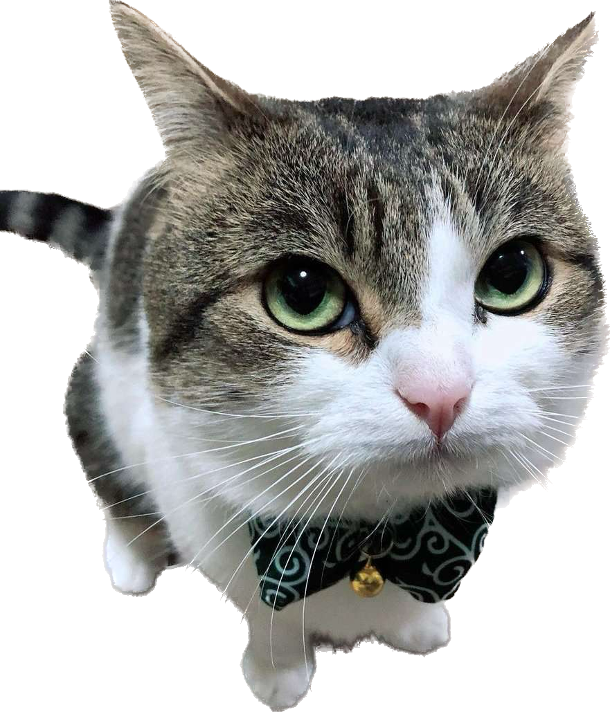 IMG_0297.png