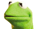 1487201471-kermit-observe2.png