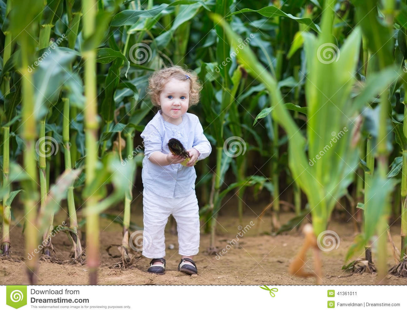 funny-baby-girl-hiding-corn-field-playing-41361011.jpg