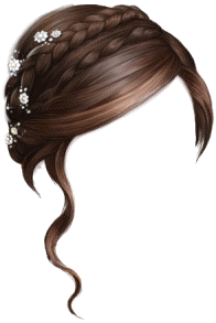 item_fem_lady_hair_f_brown_long_fancy-v01.png