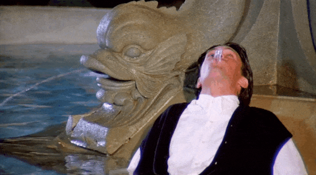somegif.gif