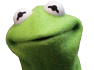 1487201456-kermit-observe.png