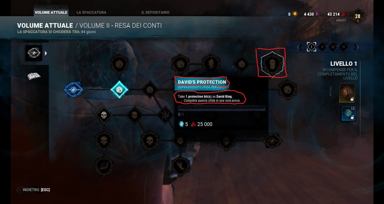 David_s_Protection.jpg