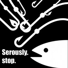 Bait.jpg