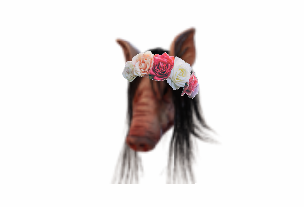 cf84871.png