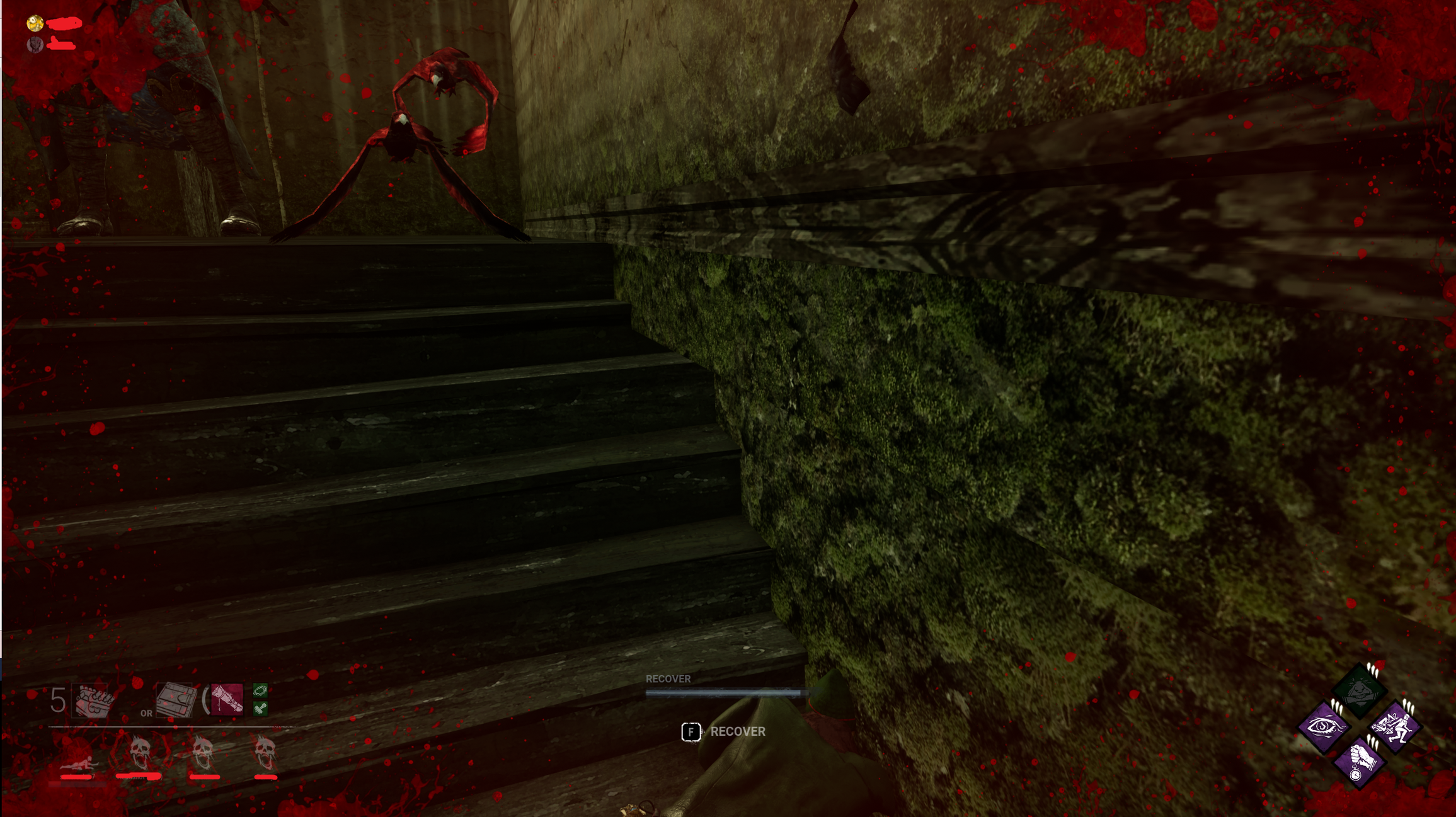 Dbd bug.png