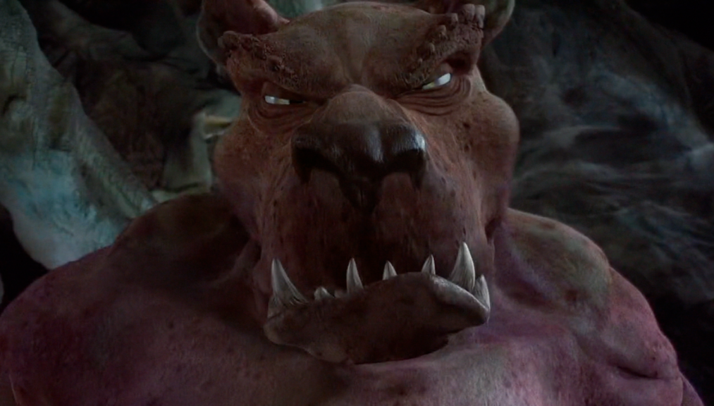 scrappy.png