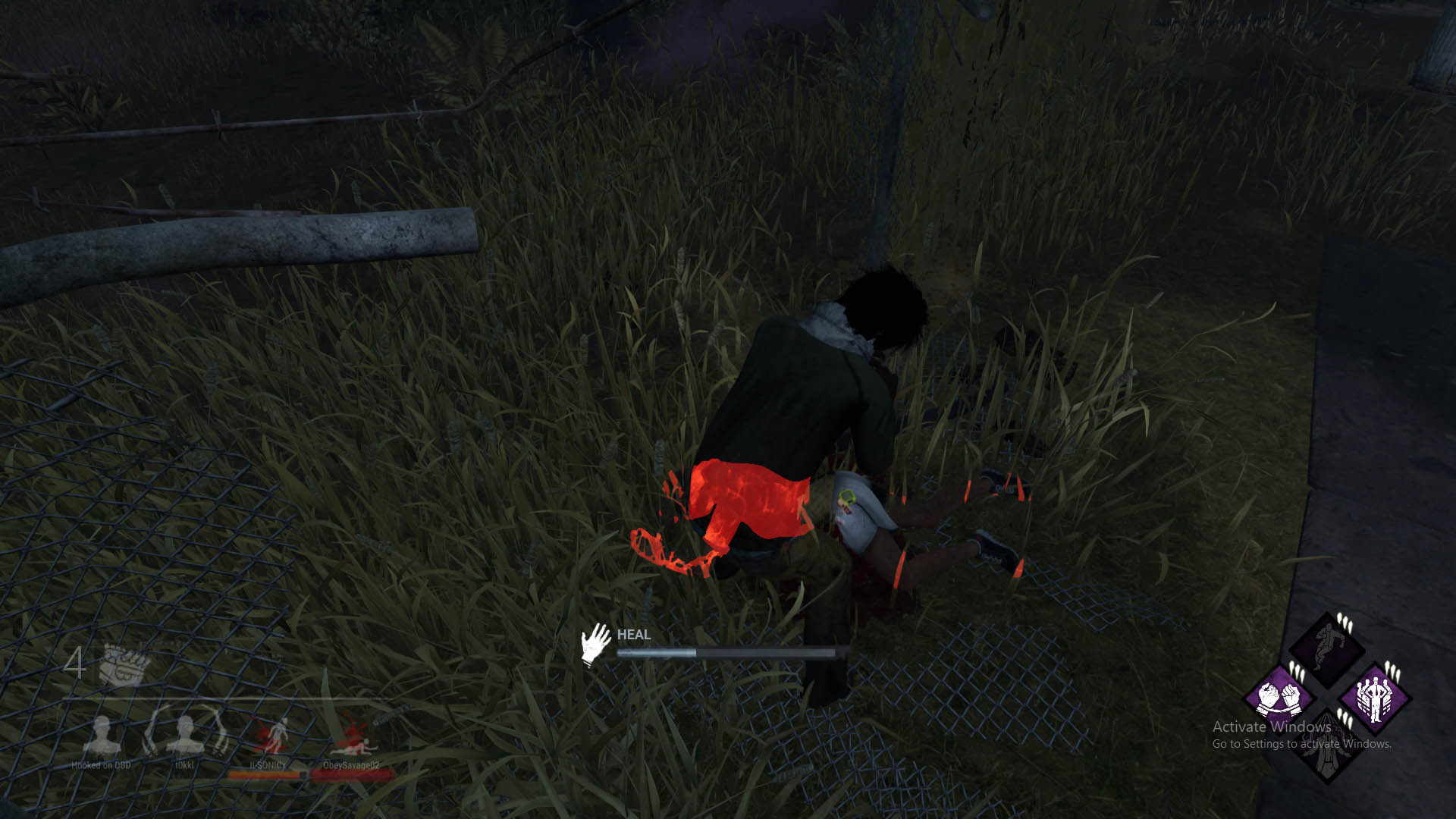 ass2.jpg