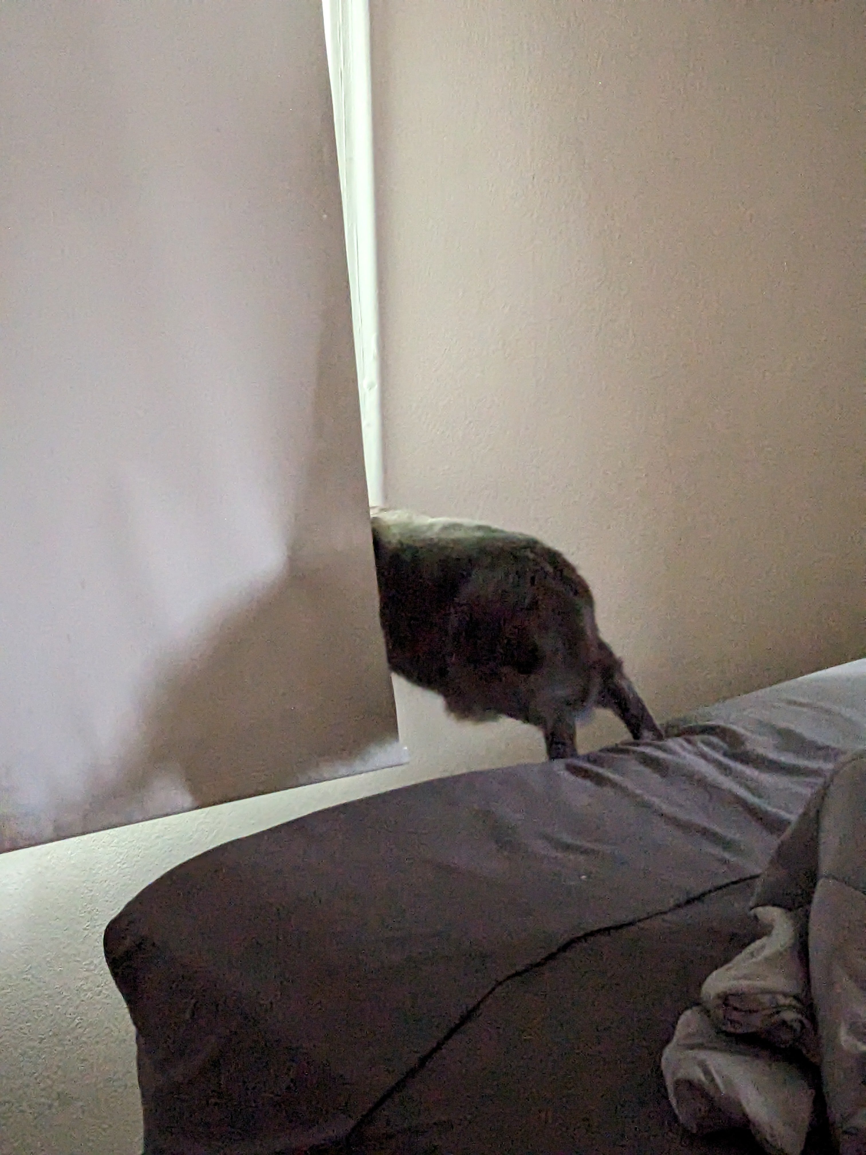 PXL_20230917_141623698.jpg