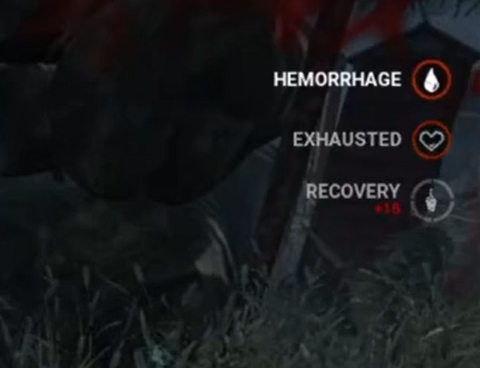 pig hemorrhage exhausted.PNG