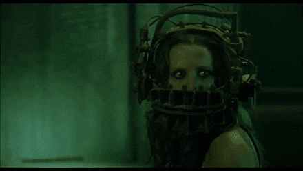 HopefulPointlessEarwig-max-1mb.gif