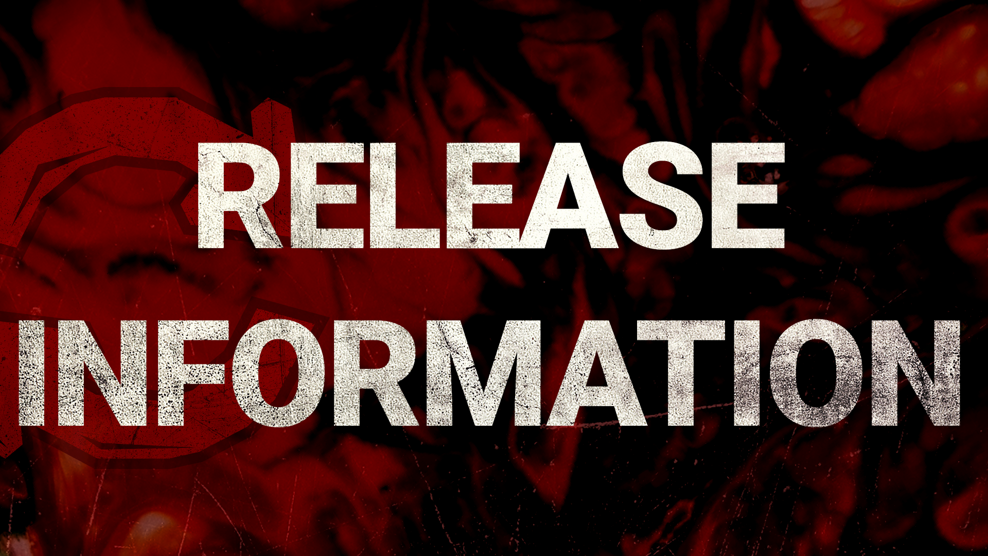 _ReleaseInfo.png