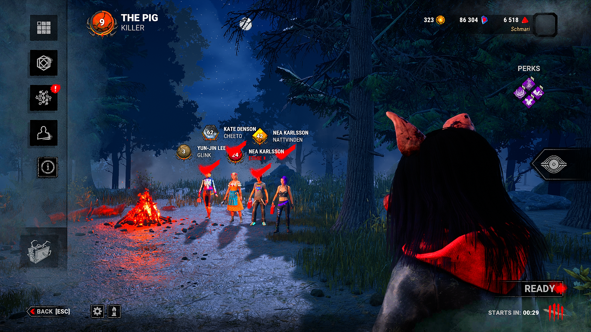 dbd_bug.png