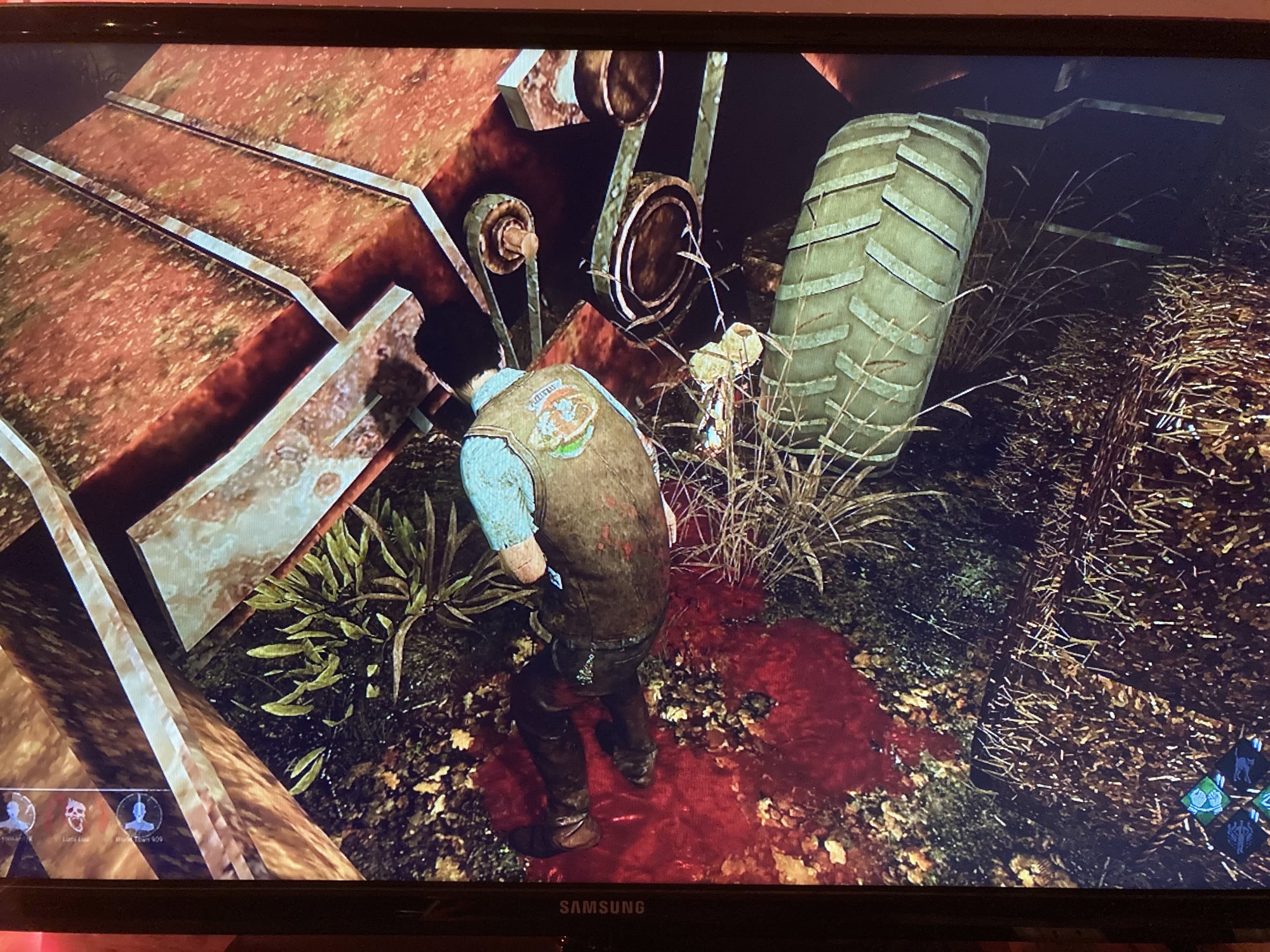 coldwindruinbug.JPEG