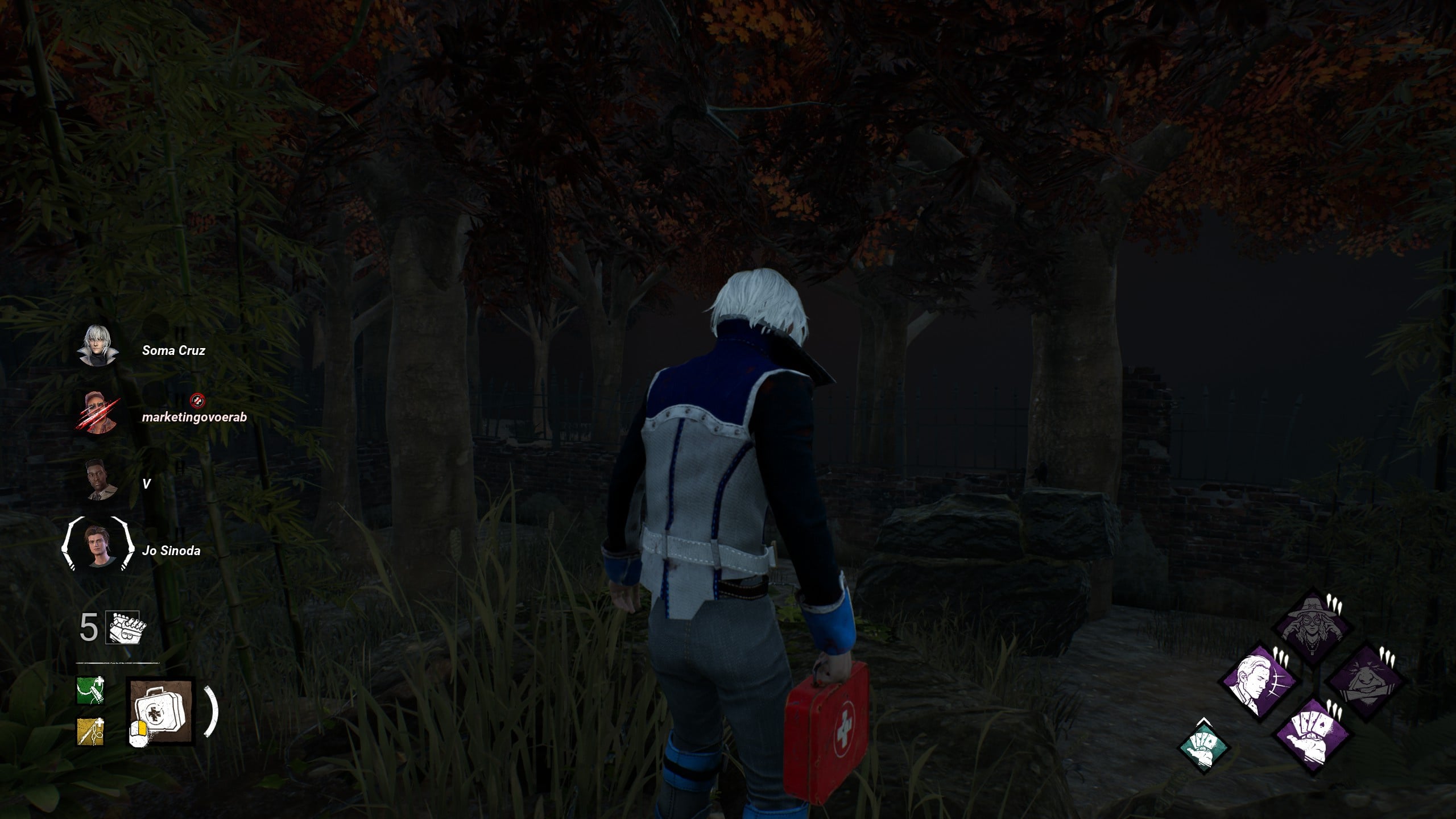 Soma Cruz Bug.jpg
