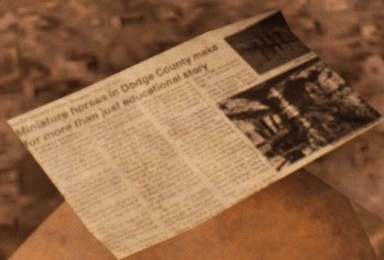 Newspaper1.jpg