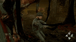MeekCourteousHoiho-max-1mb.gif