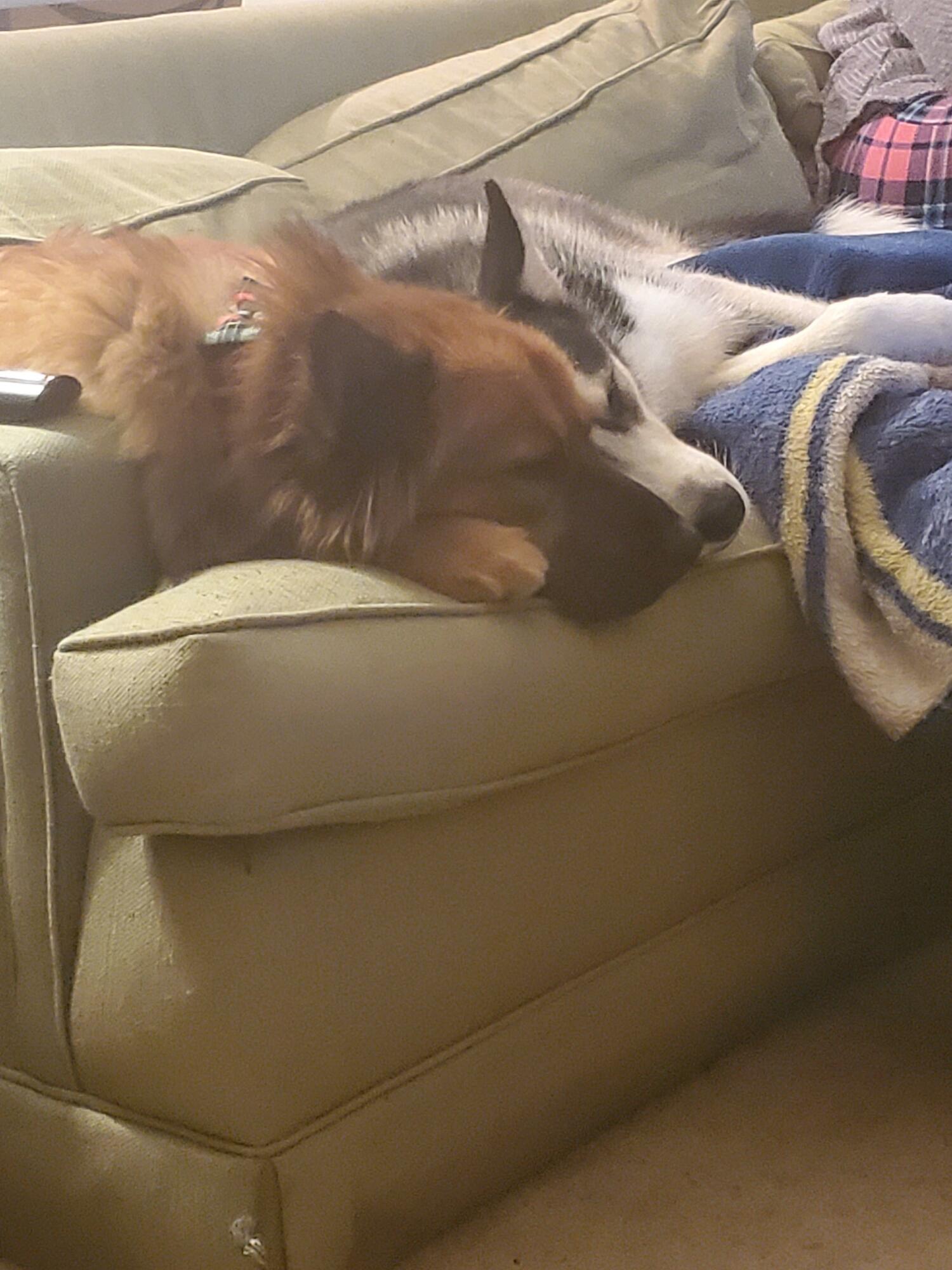 20191217_233323.jpg