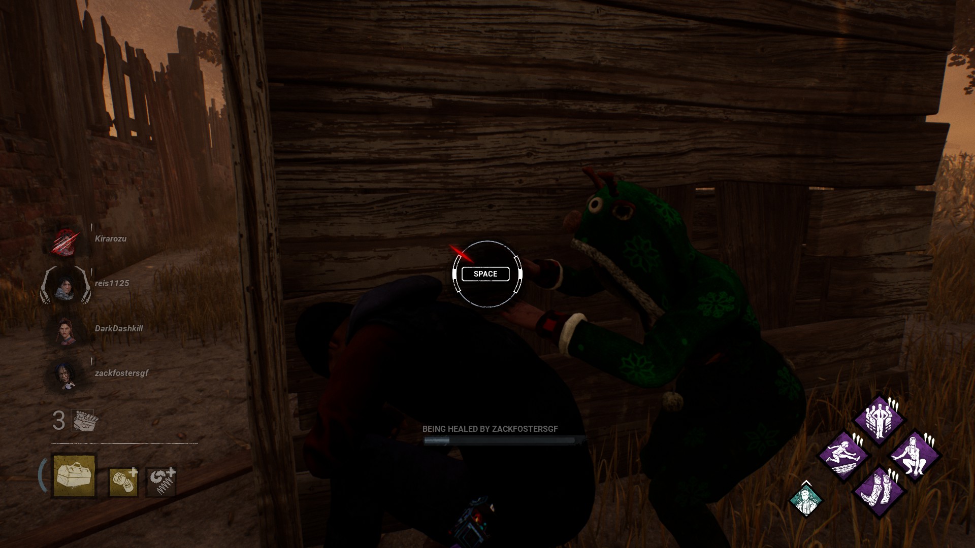 wiggle bug 2.jpg