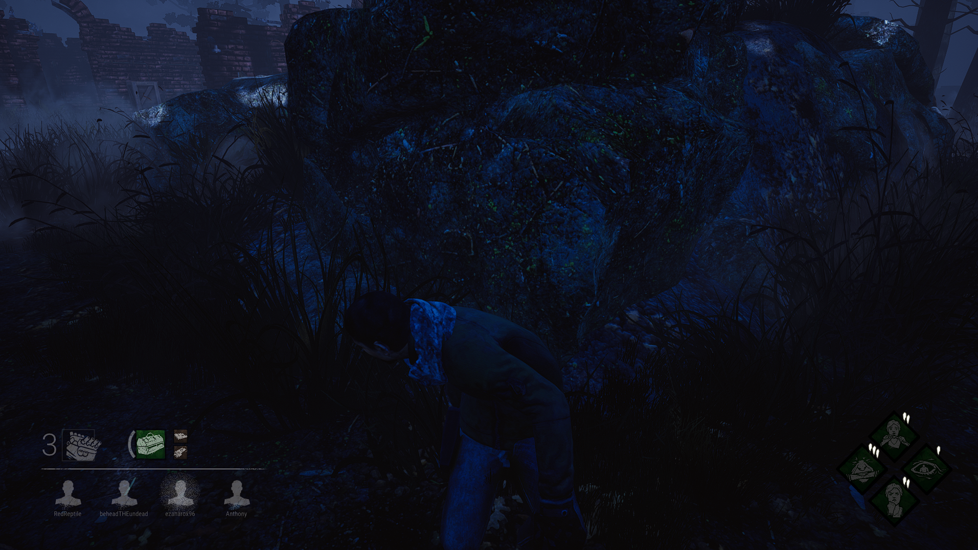 DBD_BugReport.png