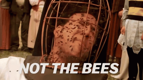 nicholas-nicholascage.gif
