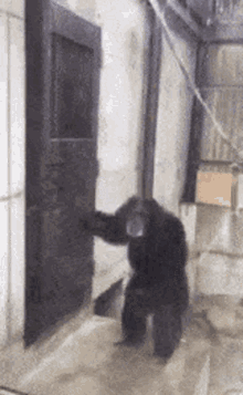 17615926983152520202334481914928.gif