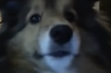 download.png